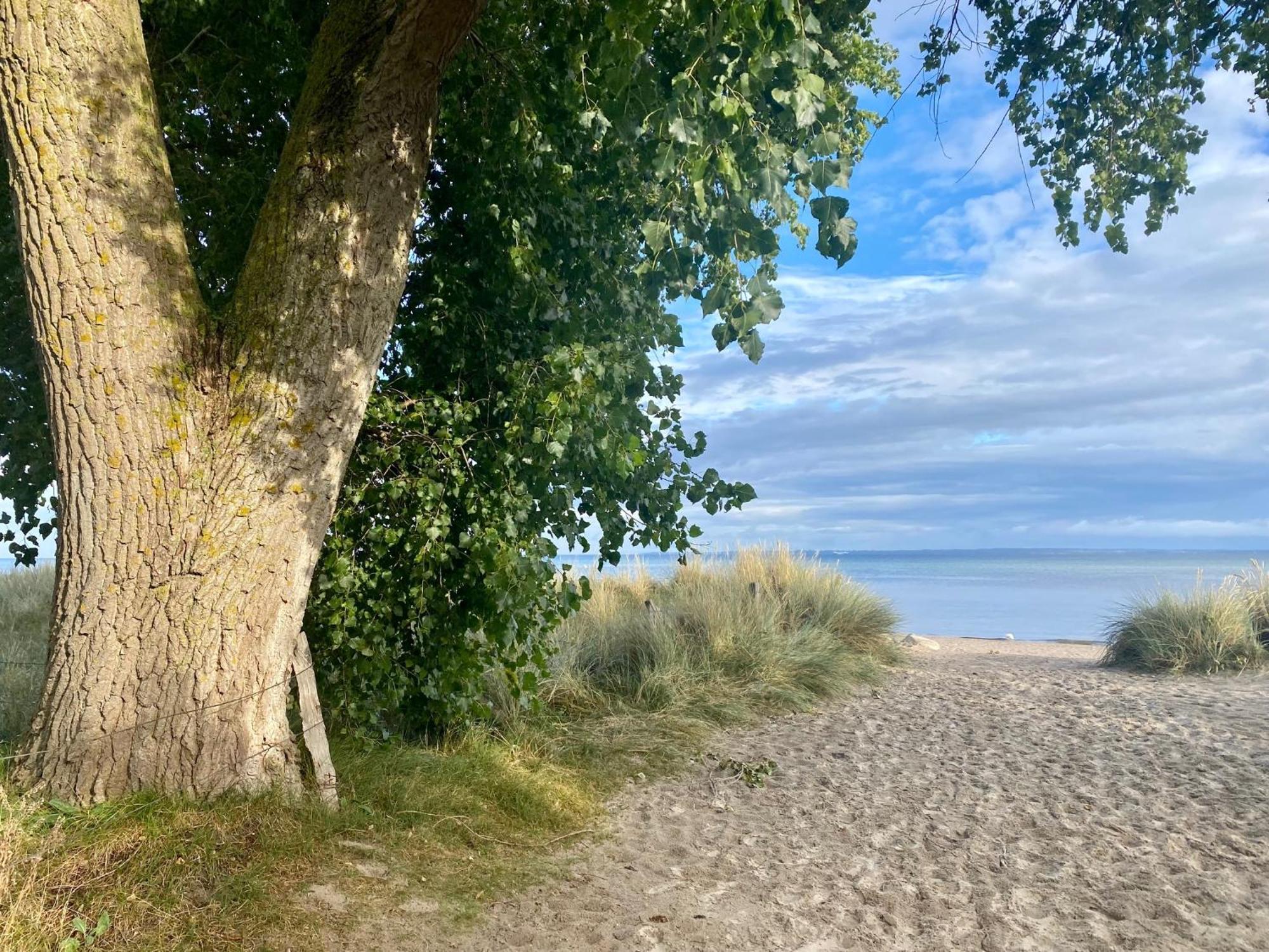 Feriendorf Suedstrand Haus 40 เพลเซอร์ฮาเคิน ภายนอก รูปภาพ
